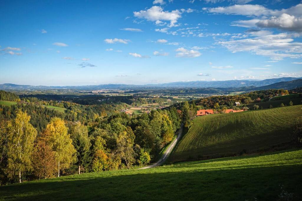 Chalet-Suedsteiermark - Traumhafte Aussicht, Infinity Pool, Privatsphaere, Klima Und De-Luxe Ausstattung Schwanberg Dış mekan fotoğraf